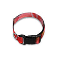 Amaryllis Flower Print Dog Collar