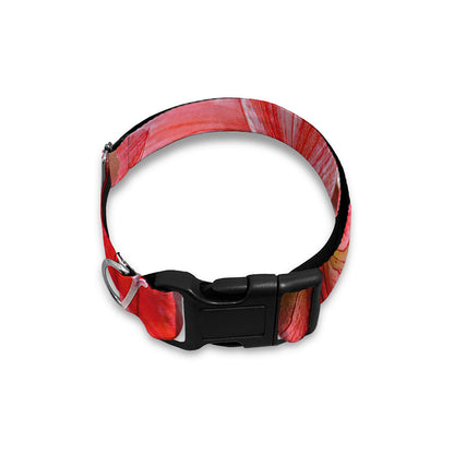 Amaryllis Flower Print Dog Collar