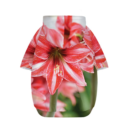 Amaryllis Flower Print Dog Zip Up Hoodie