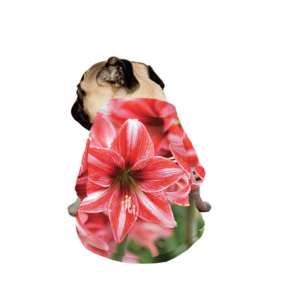 Amaryllis Flower Print Dog Zip Up Jacket