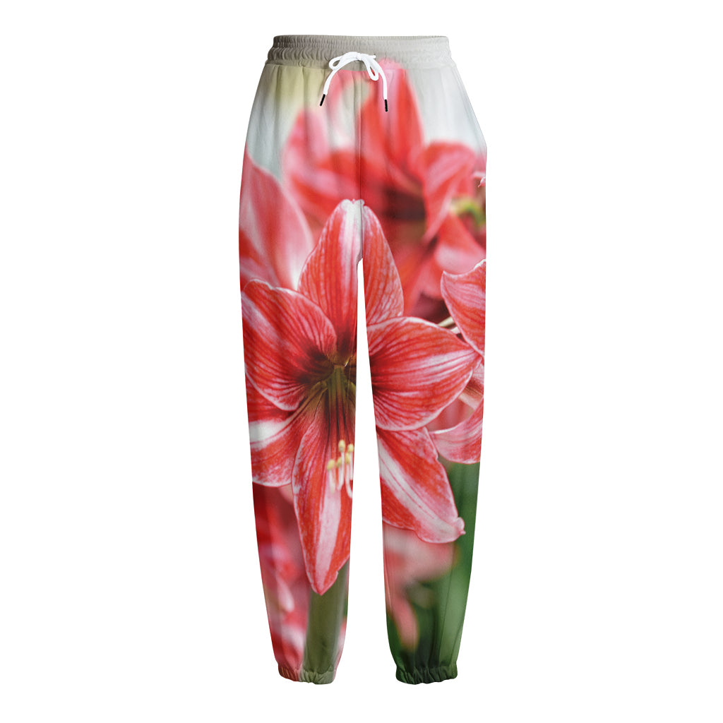 Amaryllis Flower Print Fleece Lined Knit Pants