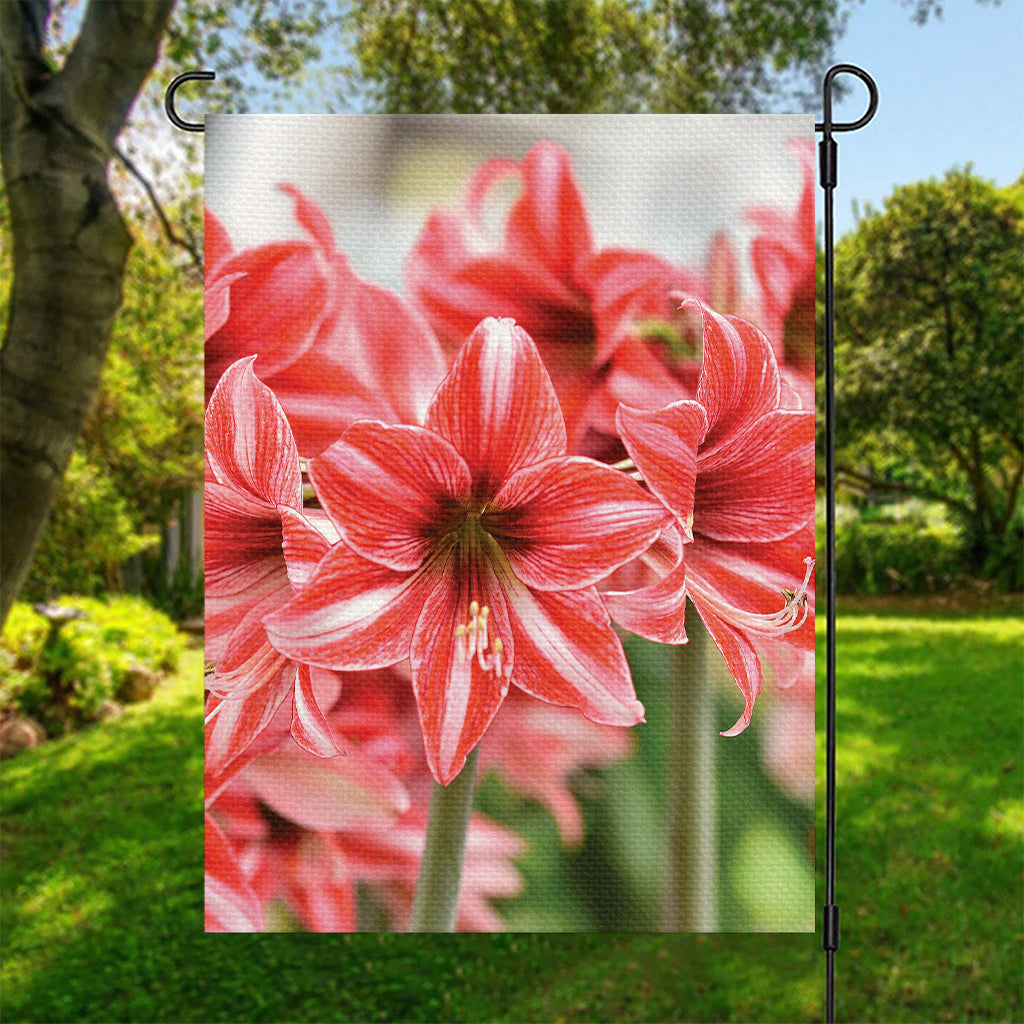 Amaryllis Flower Print Garden Flag