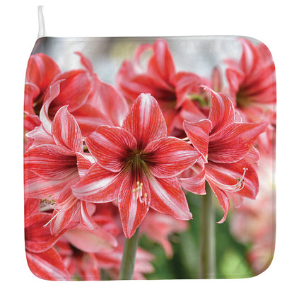 Amaryllis Flower Print Hand Towel