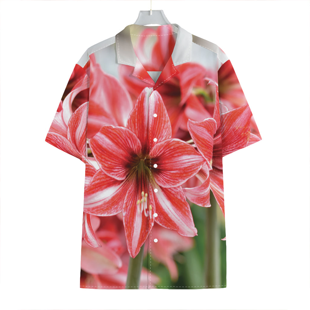 Amaryllis Flower Print Hawaiian Shirt