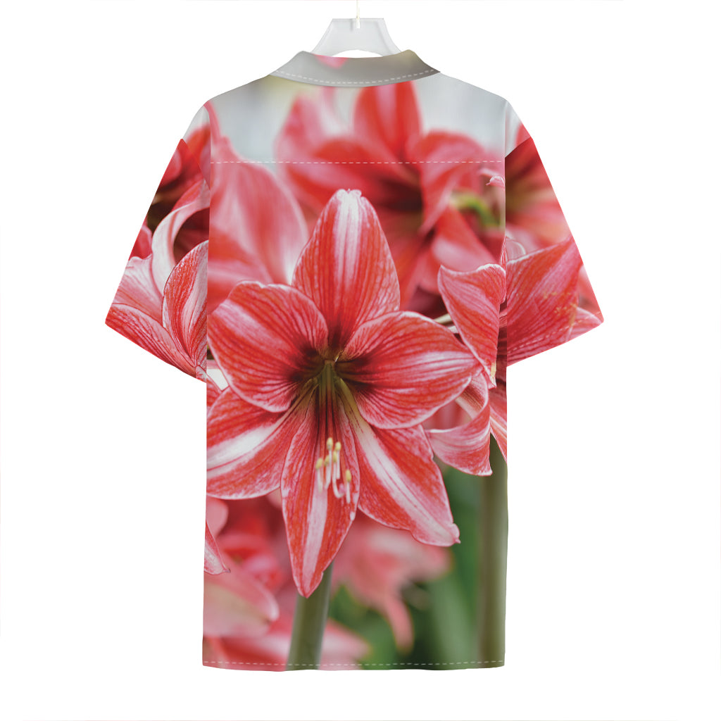 Amaryllis Flower Print Hawaiian Shirt