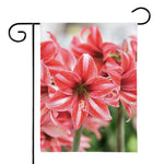 Amaryllis Flower Print House Flag