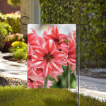 Amaryllis Flower Print House Flag