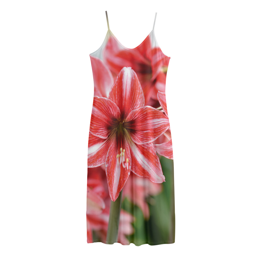 Amaryllis Flower Print Jersey Midi Cami Dress