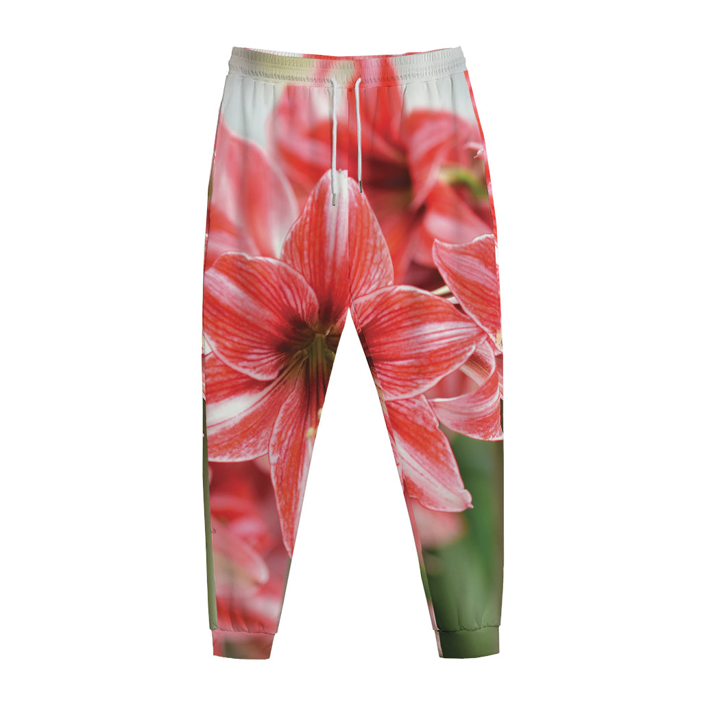 Amaryllis Flower Print Jogger Pants