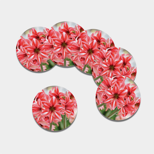 Amaryllis Flower Print Leather Coaster Set