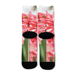 Amaryllis Flower Print Long Socks