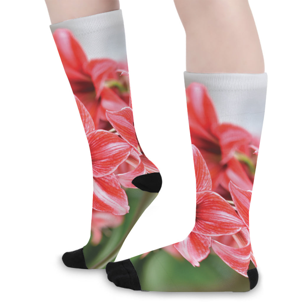 Amaryllis Flower Print Long Socks