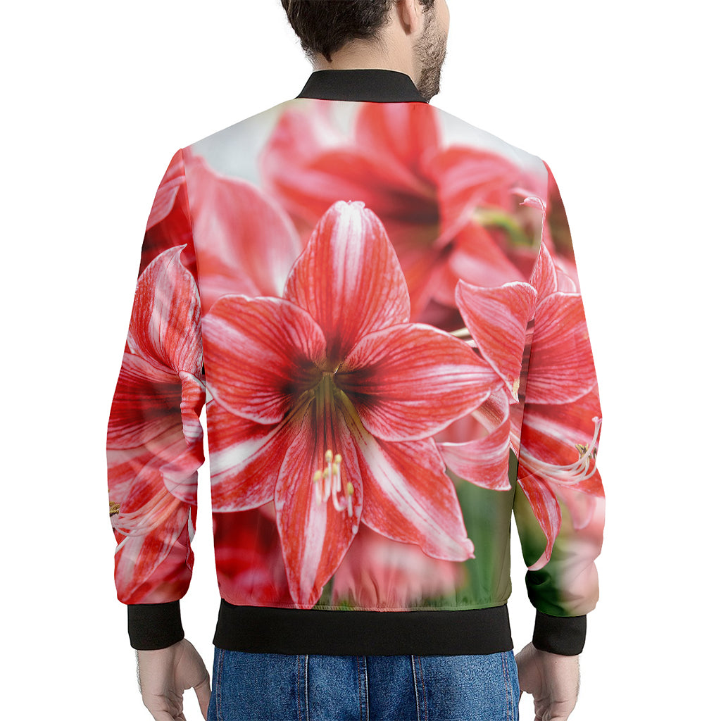 Amaryllis Flower Print Men's Bomber Jacket