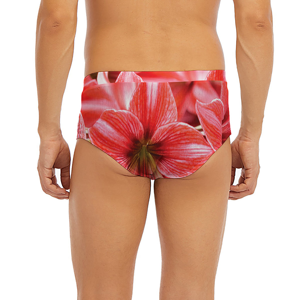 Amaryllis Flower Print Men's Briefs