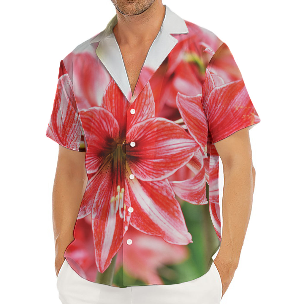 Amaryllis Flower Print Men's Deep V-Neck Shirt