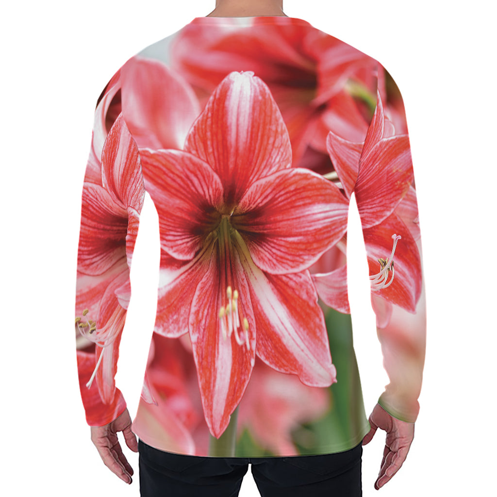 Amaryllis Flower Print Men's Long Sleeve T-Shirt