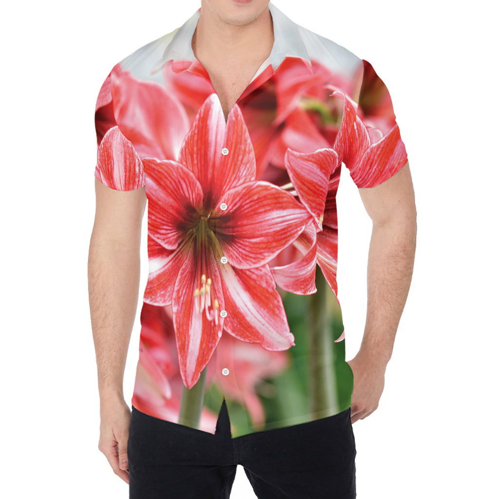 Amaryllis Flower Print Men's Shirt