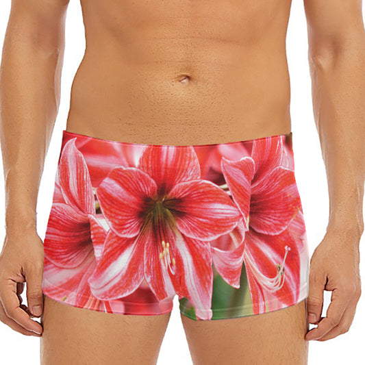 Amaryllis Flower Print Men's Short Boxer Briefs