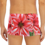 Amaryllis Flower Print Men's Short Boxer Briefs