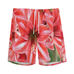 Amaryllis Flower Print Men's Sports Shorts