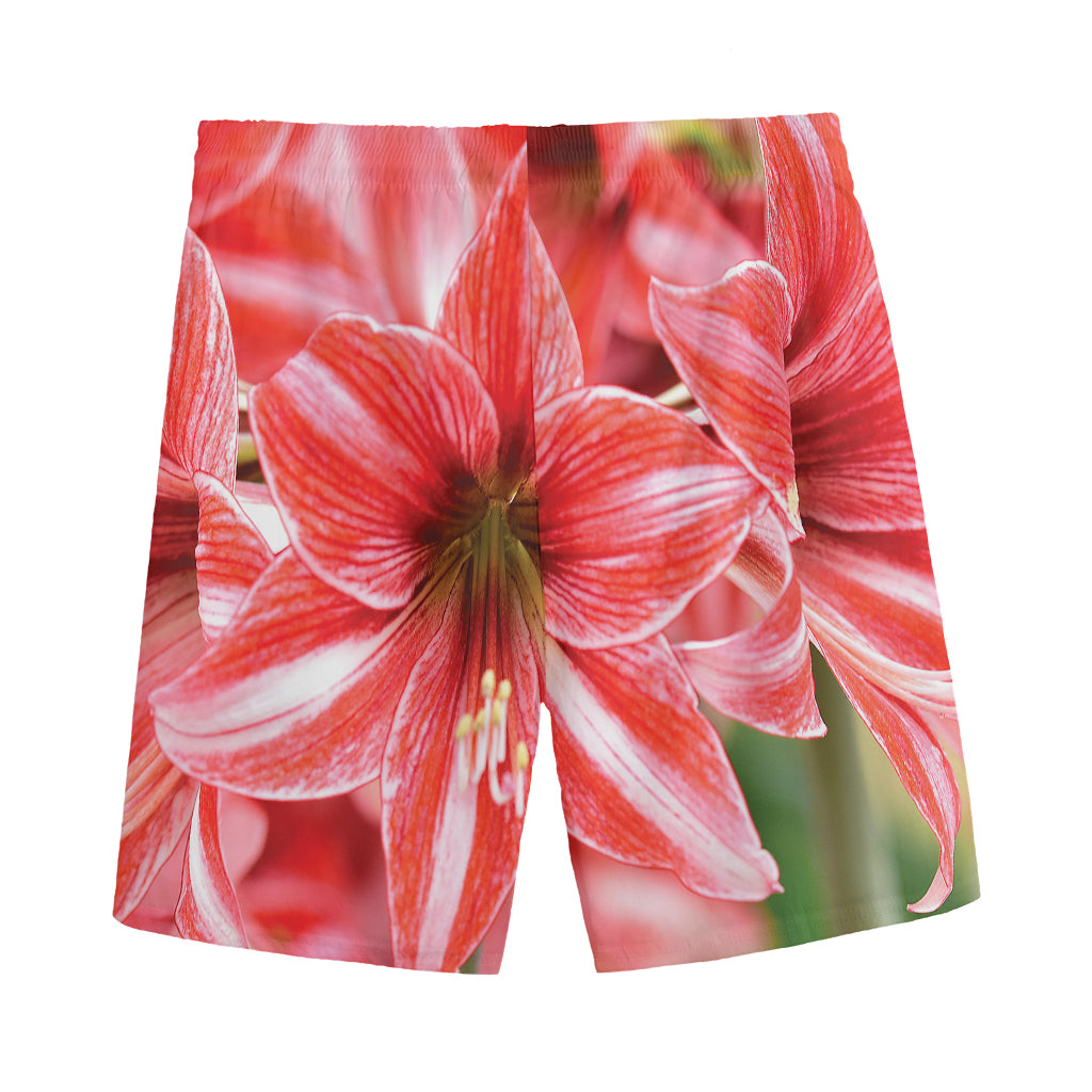 Amaryllis Flower Print Men's Sports Shorts