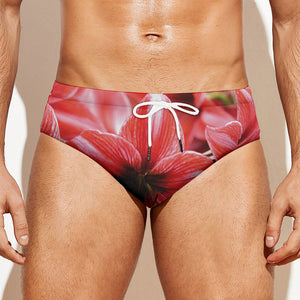 Amaryllis Flower Print Men's Swim Briefs