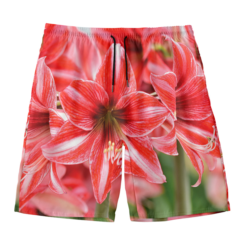 Amaryllis Flower Print Men's Swim Trunks