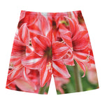 Amaryllis Flower Print Men's Swim Trunks