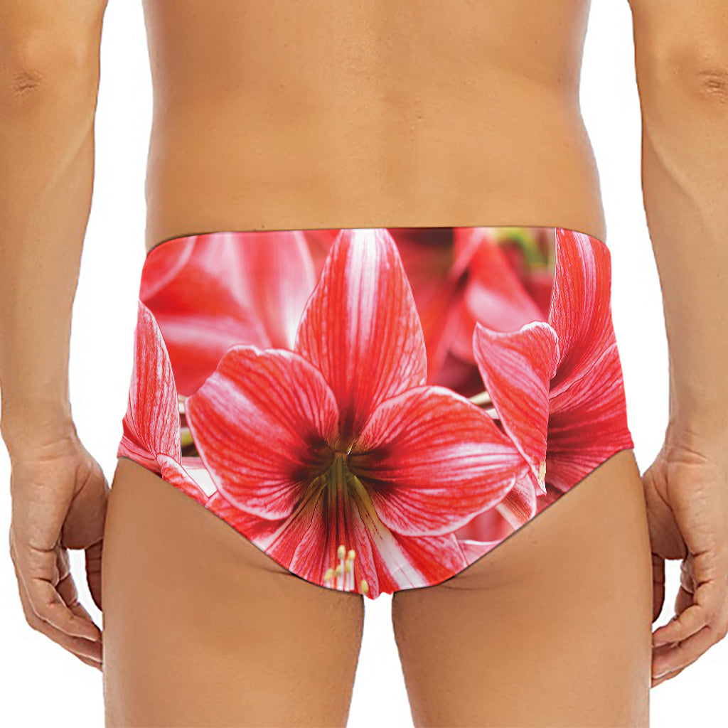 Amaryllis Flower Print Men's Triangle Swim Briefs