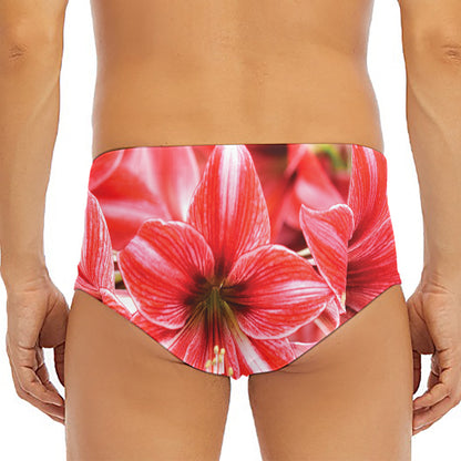 Amaryllis Flower Print Men's Triangle Swim Briefs