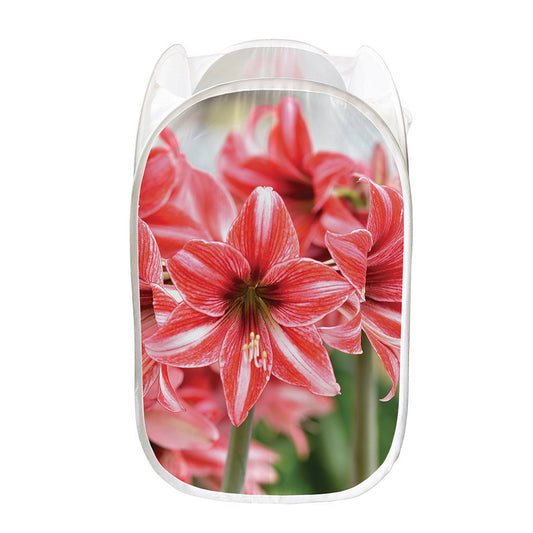 Amaryllis Flower Print Mesh Laundry Hamper