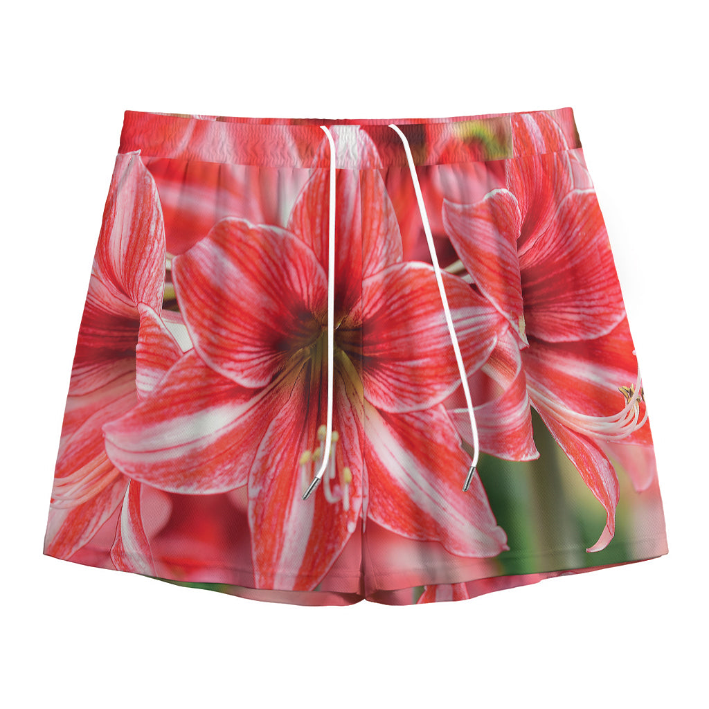 Amaryllis Flower Print Mesh Shorts