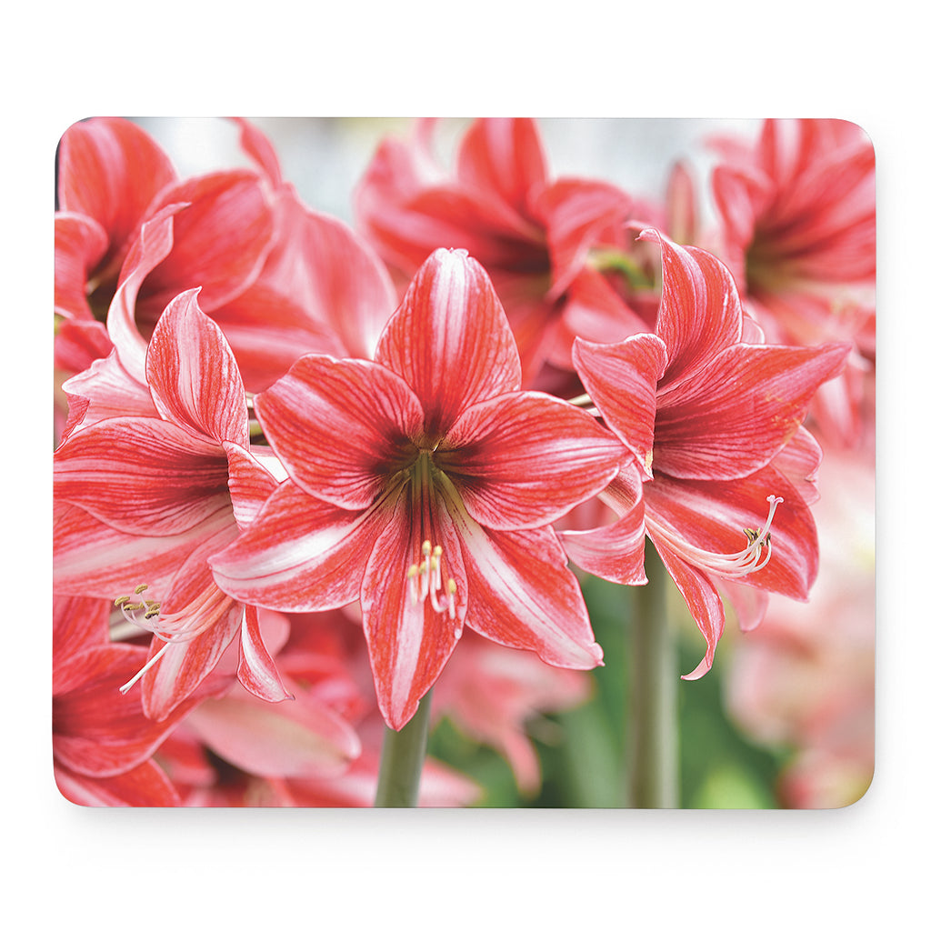 Amaryllis Flower Print Mouse Pad