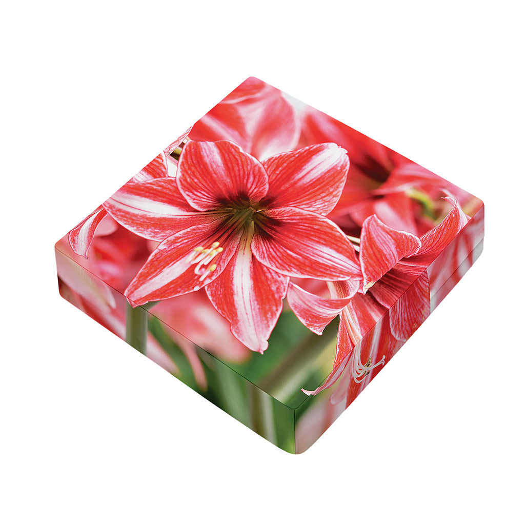 Amaryllis Flower Print Outdoor Seat Cushion Cover