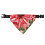 Amaryllis Flower Print Over The Collar Dog Bandana