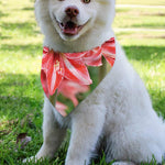 Amaryllis Flower Print Over The Collar Dog Bandana