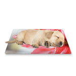 Amaryllis Flower Print Pet Cooling Mat Cover