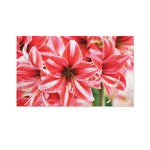 Amaryllis Flower Print Polyester Flag