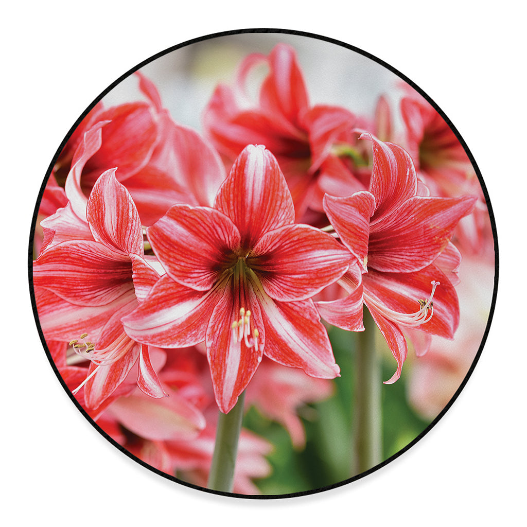 Amaryllis Flower Print Round Floor Mat