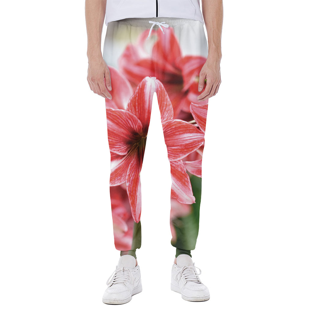 Amaryllis Flower Print Scuba Joggers