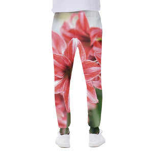 Amaryllis Flower Print Scuba Joggers