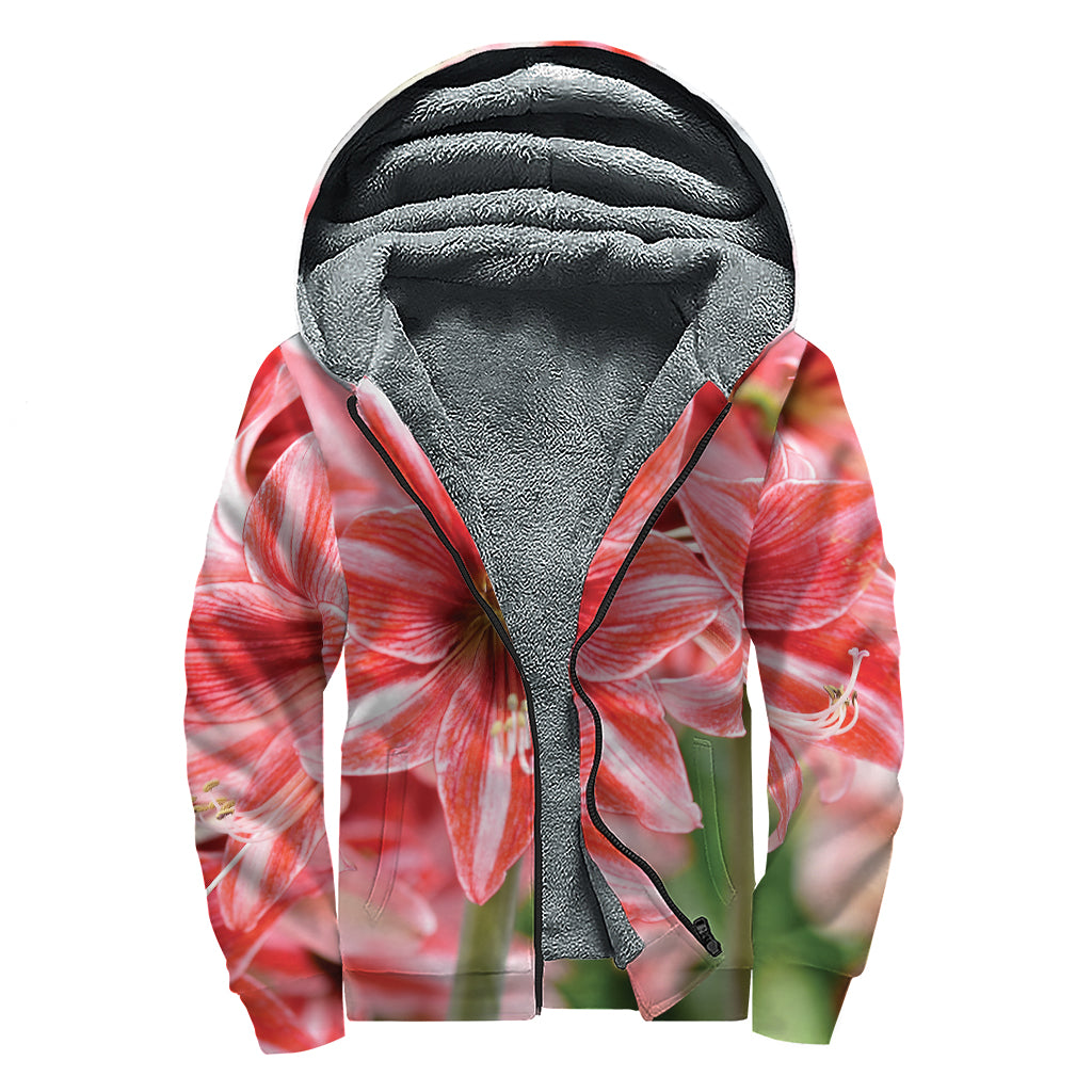 Amaryllis Flower Print Sherpa Lined Zip Up Hoodie