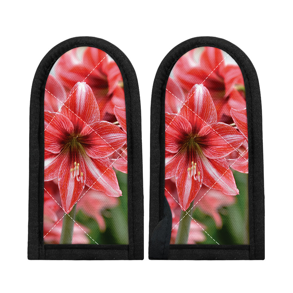 Amaryllis Flower Print Skillet Handle Cover