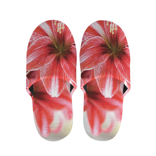 Amaryllis Flower Print Slippers