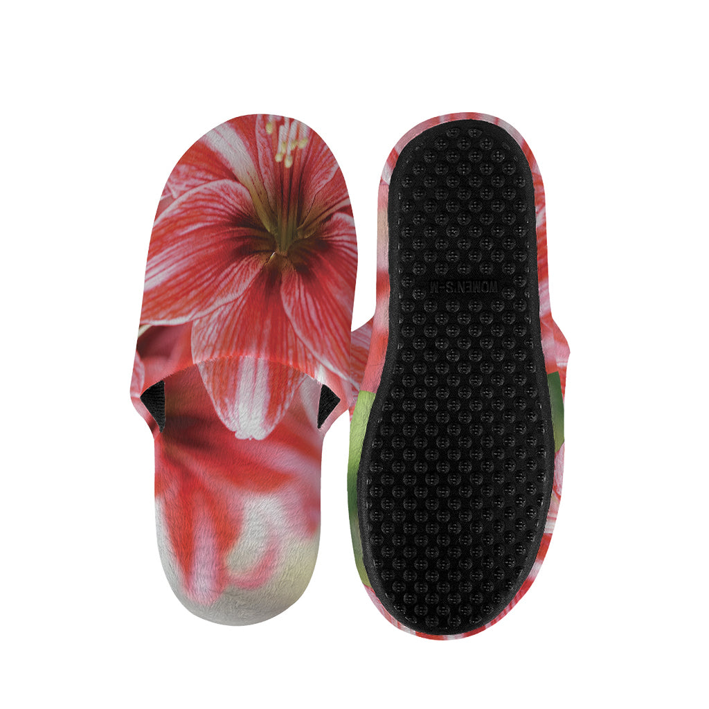 Amaryllis Flower Print Slippers