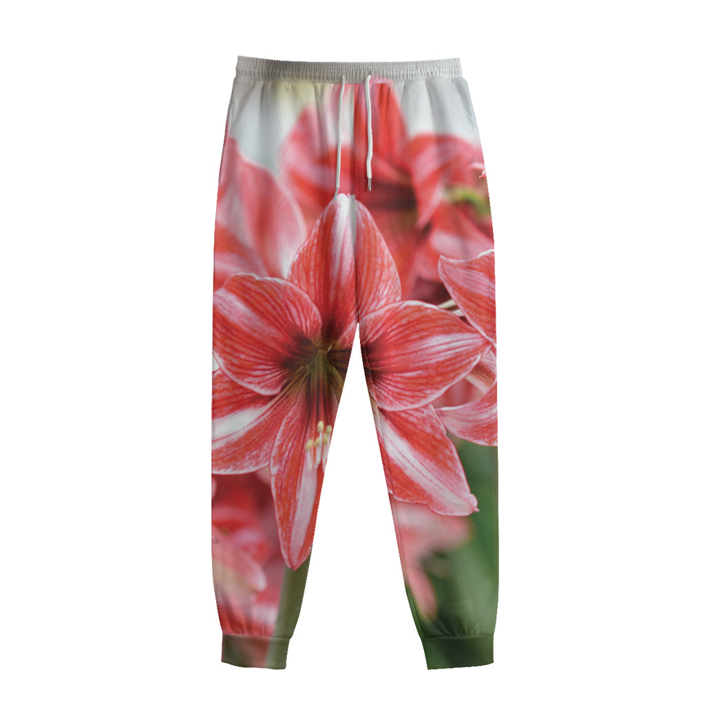 Amaryllis Flower Print Sweatpants