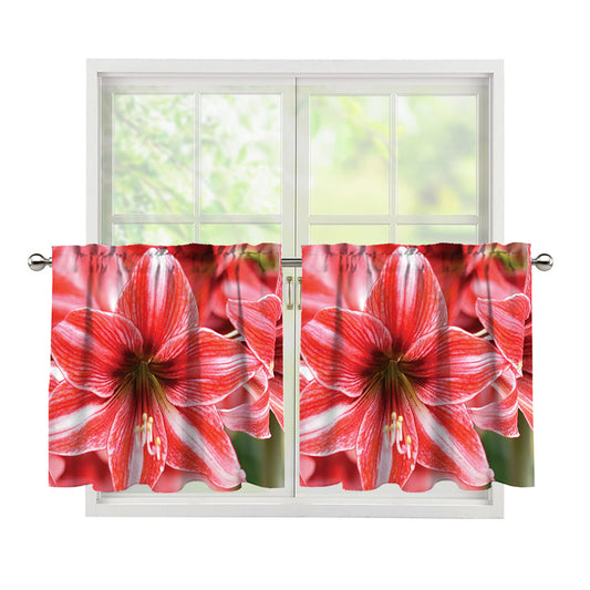 Amaryllis Flower Print Tier Curtains