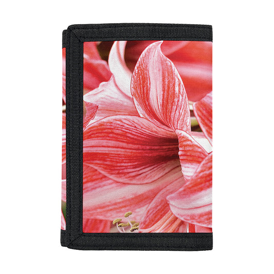 Amaryllis Flower Print Trifold Wallet