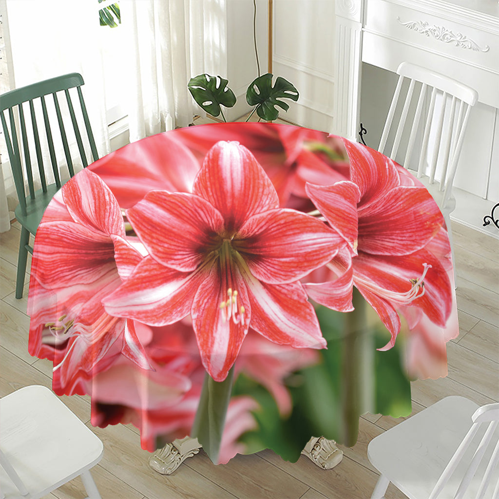 Amaryllis Flower Print Waterproof Round Tablecloth