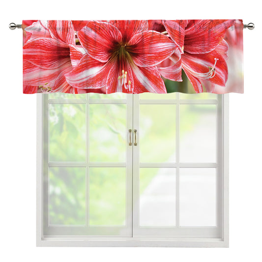 Amaryllis Flower Print Window Valance